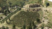 Aerial view of the vineyard from helicopter.