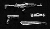 TheCayoPericoHeist-GTAO-PrepBoardImg-WeaponLoadout-05Marksman