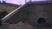 Peyote Plants GTAVe 17 Vinewood Hills Drain View.jpg