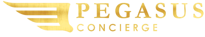 gta 5 pegasus concierge vehicles