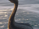 Loch Santos Monster
