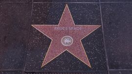 Bruce Spade's star on the Vinewood Walk of Fame.