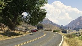 GTAO-Through the Grapeseed Race