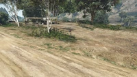 BikerSellCourierService-GTAO-Countryside-DropOff4