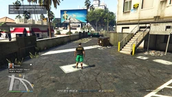 TheCluckinBellFarmRaid-GTAOee-HitAndRun-LocationA-SS1.jpg (1.16 MB) Use the image provided by Vincent to help decide which getaway vehicle to steal.