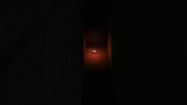 The flying rat near the highway.