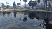 Stockpiling-GTAO-EastLS-Sea-MirrorPark