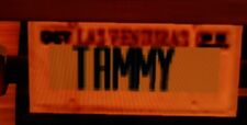 Tammy License Plate.jpg