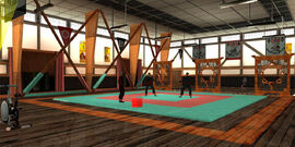 Training mat inside the dojo where students train with their sensei.