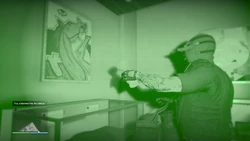 Collected the tiki statue