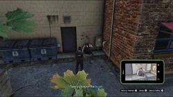 Send the photo to Madrazo.