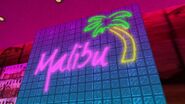 Logo of Malibu Club as seen on wall behind the bar in it.