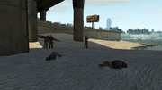 TrampsUnderOverpass-GTAIV