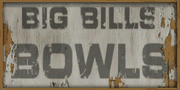 BigBillsBowls-GTAVC-logo