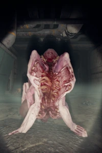MotherInfobox