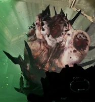 Close-up of the Tank