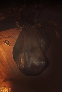 Cocoon 3