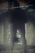 A Big Shadow