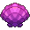 Purple Shell