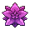 Purple Flower