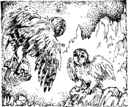 Gwyndor finds Nyroc.