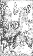 Nyra and Nyroc flying together.