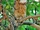 Brown Fish Owl