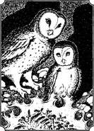 "The young’un was seeing something. The old Rogue smith could tell by the way Nyroc’s eyes stared, unblinking, into the gizzard of this fire. Gwyndor studied the reflection of the flames in Nyroc’s eyes. He felt his own gizzard give a twang. Was it the Ember of Hoole he saw reflected in those young eyes?"