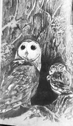 (Ch. 17) Eglantine and Primrose hiding from the Pure Ones in a rotted tree stump