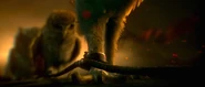 Enslaved owls.png (684 KB)