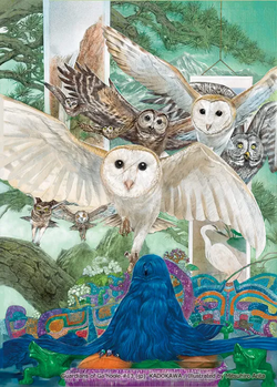 Timisarocker, The Owl-Eyes, Birdhole, Kyrie Nova