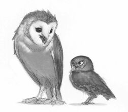 Soren and gylfie concept.jpg