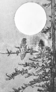 (Ch. 25) Soren, Gylfie, and Eglantine observe the lunar eclipse.