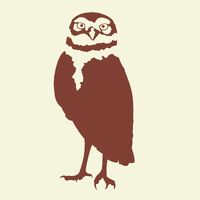 Burrowingowl-sil