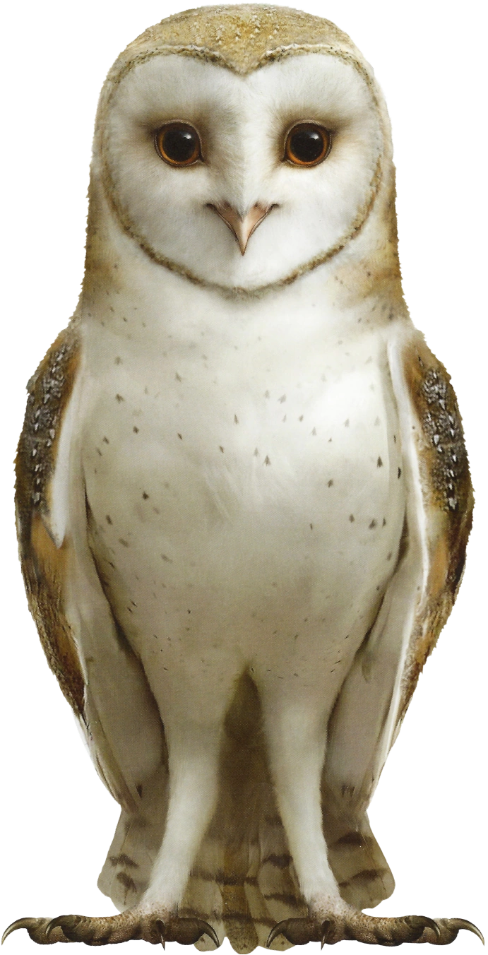 Soren Movie Guardians Of Gahoole Wiki Fandom