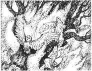 Grank and family fleeing from a forest fire.