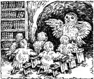 Otulissa teaching a class of owlets.
