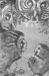 Illustration depicting Nyroc's confrontation with the Great Grays from the Japanese version of the book.
