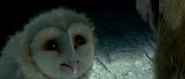 Eglantine is scared