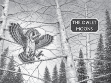 The owlet moons