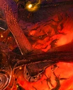 Theo on the Japanese cover of The Coming of Hoole