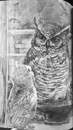 (Ch. 5) Soren visiting Bubo at his forge