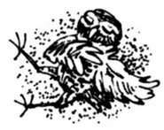 Pagebreaker of a burrowing owl.