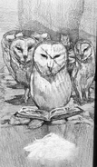 (Ch. 14) Nyra and the Pure Ones with The Book of Kreeth.