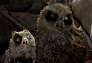 Two moon blinked owlets in the movie