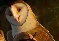 Noctus talking to Kludd and Soren