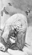 (Ch. 5) Eglantine protecting a baby seal and confronting the polar bear Svallborg