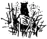 Pagebreaker depicting a mysterious owl.