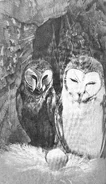 (Ch. 19) Kludd and Nyra observe their new egg, which will become Coryn.