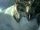 Barran (Movie)